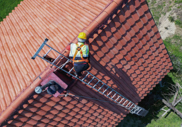 Best Roof Moss and Algae Removal  in Deville, AL